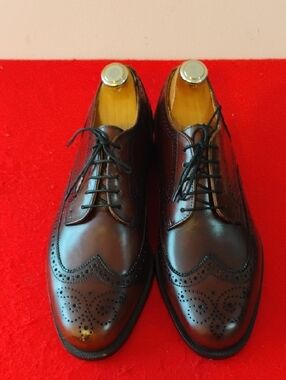 Cole Haan Men's Dark Brown Wingtip Oxford Dress Shoes